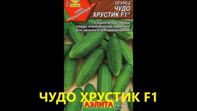 САМЫЕ ЛУЧШИЕ ОГУРЦЫ ЭТОГО СЕЗОНА. ПОСАЖУ ОБЯЗАТЕЛЬНО!! смотреть онлайн