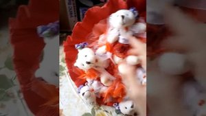 БУКЕТ ИЗ МИШЕК и БУКЕТ ИЗ МИШЕК С РАФАЭЛЛО
