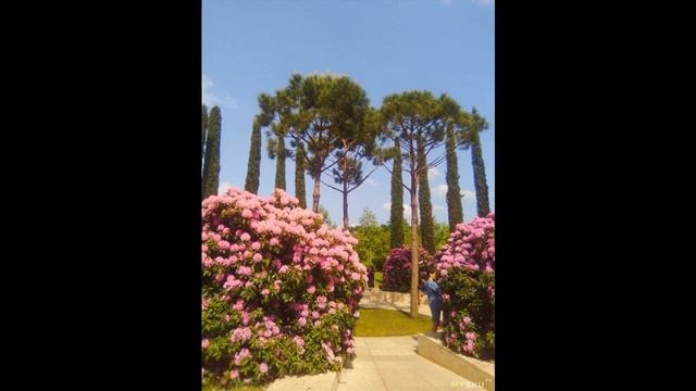 Планшет Teclast P40HD - прогресс, который легко увидеть | #Обзор смотреть онлайн