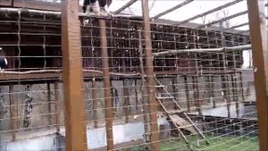 Парк птиц в Обнинске