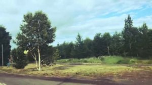 МИЛЬКОВО ЛЕТО 2017