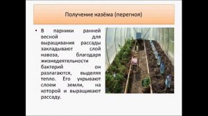 назём он же перегной