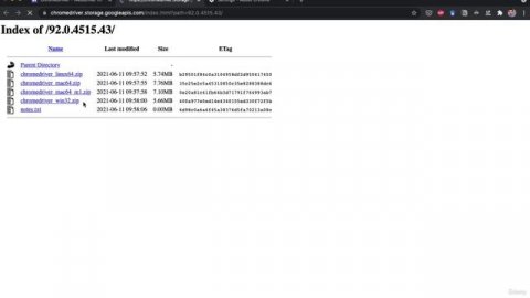 5. Introduction to Selenium 3. Installing Selenium and ChromeDriver