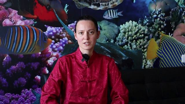 Утренний Цигун смотреть онлайн