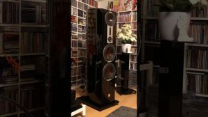 Dali Epicon 8 _ killing me softly With his songs