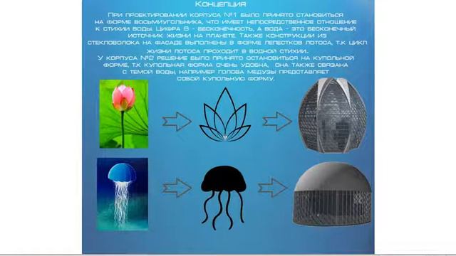 Проект океанариума в п.Дубки Саратовской области