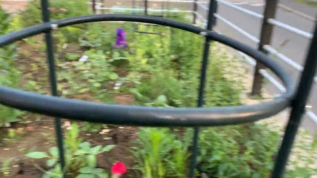 Мой цветник смотреть онлайн