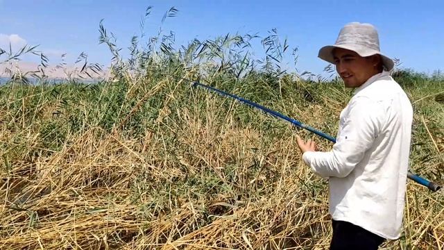Рыбалка в Таджикистане ловля змееголова с лягушкой 12-13.06.2020 год смотреть онлайн