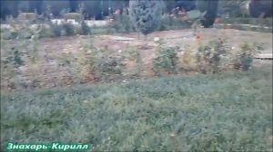 ТИБЕТСКАЯ МАНТРА ЗАКЛИНАНИЕ НА БЫСТРОЕ ЗАМУЖЕСТВО!??
