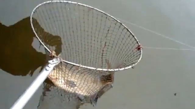 Рыбалка в Завьялово смотреть онлайн