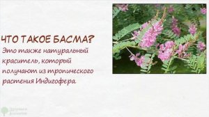 Не смывается, не жжет волосы! Натуральная краска для седых волос