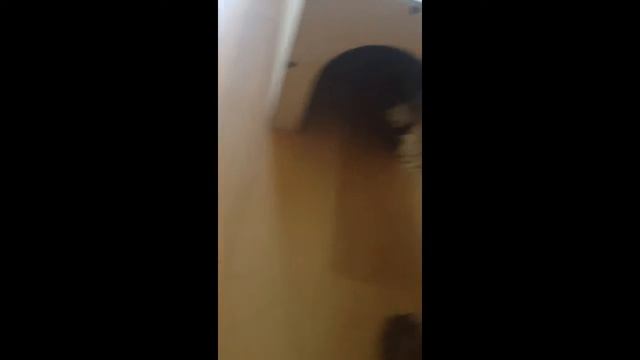 Жекса Из Степного Алтая 3 мес. смотреть онлайн