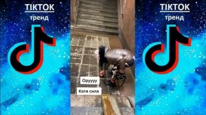 ПОДБОРКА СМЕШНЫХ РОЛИКОВ ДЛЯ ВЗРОСЛЫХ 2022 _ ЛУЧШЕЕ ЗА НЕДЕЛЮ _ Top TikTok
#ТикТок
#Тиктоктренд
#юмо