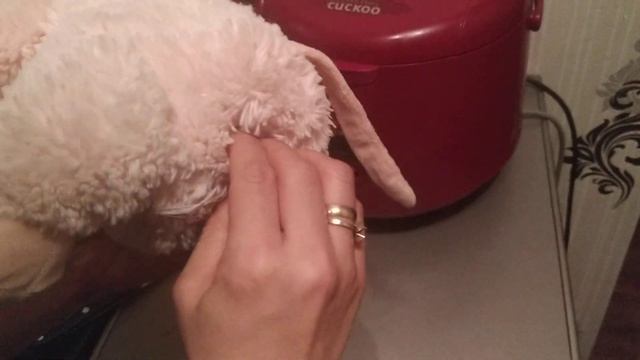 "РЕАЛЬНЫЙ"-КЛАД В ИГРУШКАХ Секонд-Хенд!!! смотреть онлайн