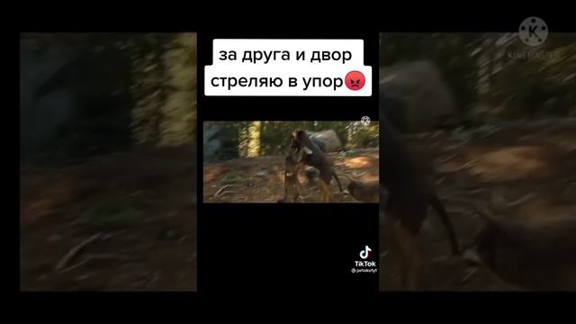 Вот что значит дружба 😎 смотреть онлайн