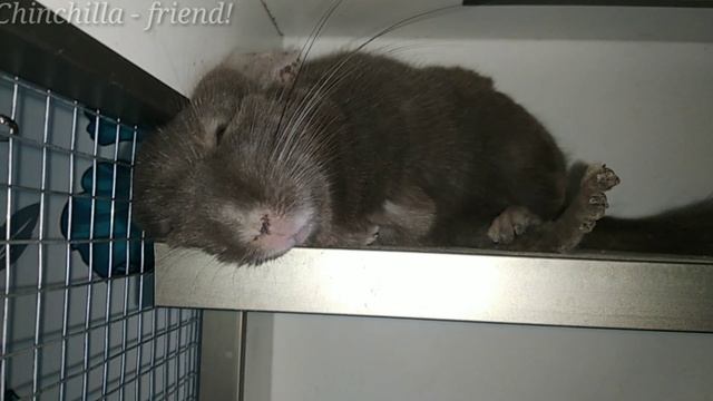 Мойте ноги перед сном!?