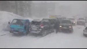 ОВАРИИ зимой 2015 год