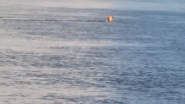 Вываживание щуки на Вятке реке Советск .Автор Носков Ник. смотреть онлайн