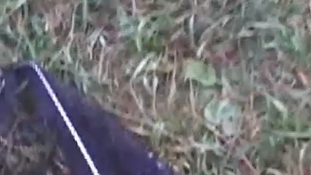 рыбалка в Калуге смотреть онлайн