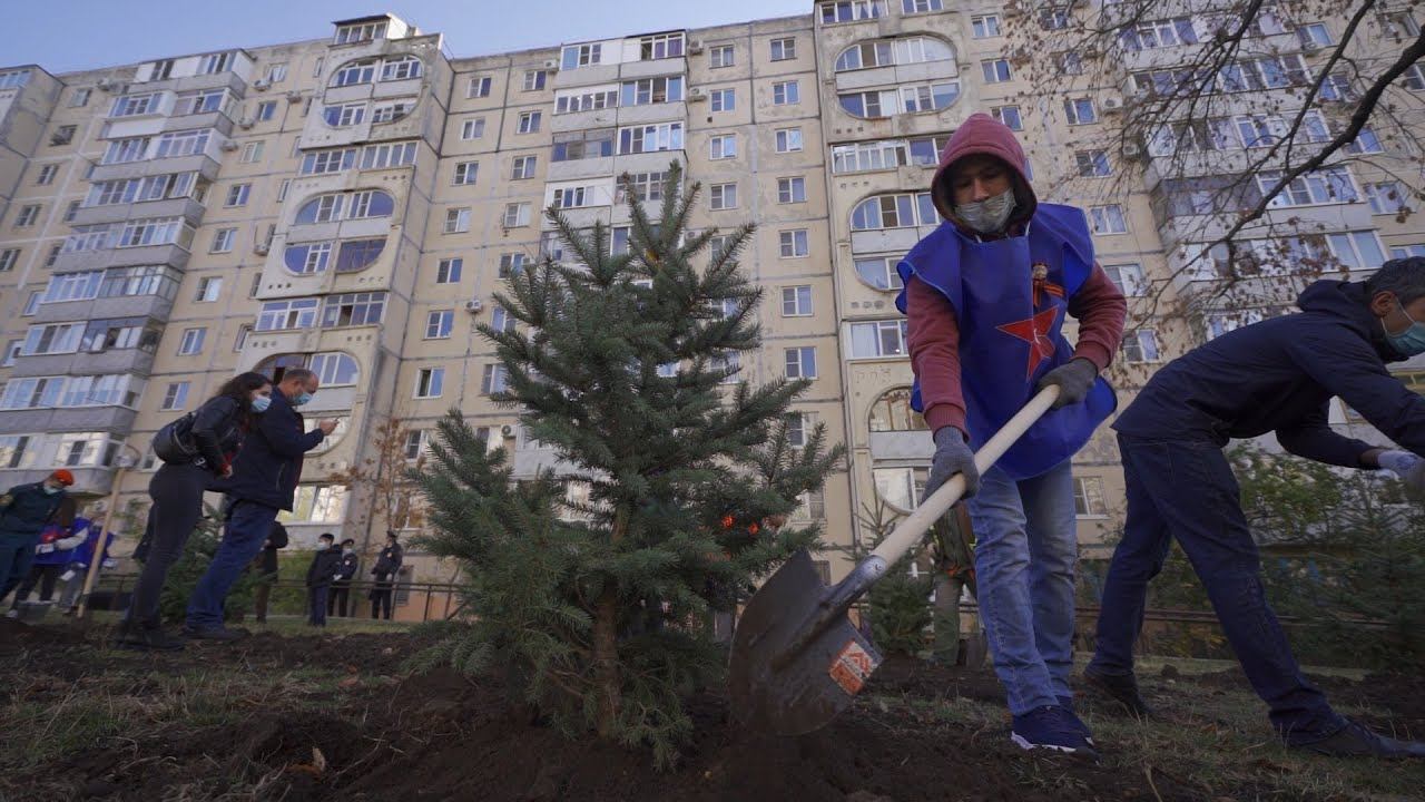 В День народного единства в Ставрополе появился новый сквер