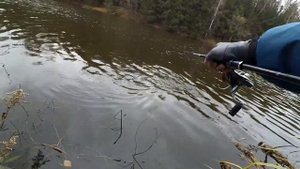 Этот пруд хранит много СЕКРЕТОВ! КРУПНЫЕ ЩУКИ НА СПИННИНГ поздней осенью! РЫБАЛКА2021 в Подмосковье