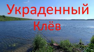 Украденный клёв. Карьер на Раменской пойме. 19.06.2024.