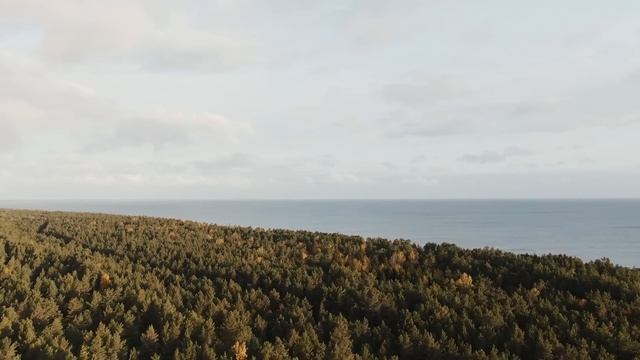 Отпевая тройняшек в закрытых гробах, поп замер, заметив одну деталь! Когда крышки отодрали... смотреть онлайн