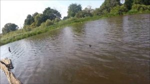 Ловля щуки.Донные удочки. Отпуск2022. Река Припять.Часть3.