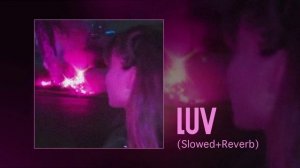 XXXSWW - LUV (Официальная премьера трека)