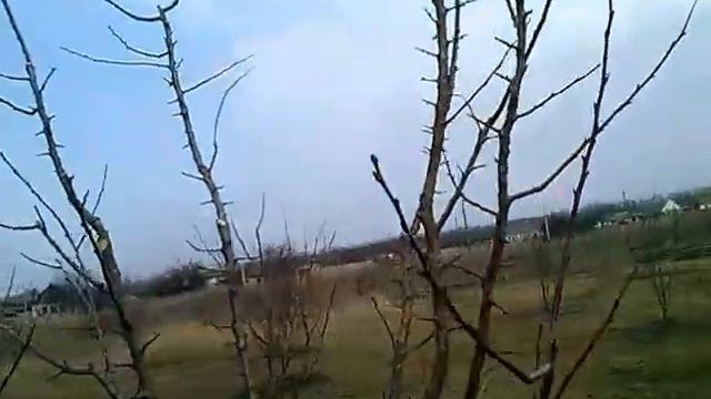 Весна! Пора обрезки. смотреть онлайн