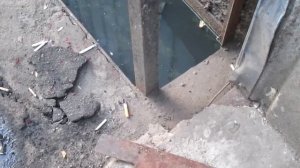 Городская крыса в Люберцах.