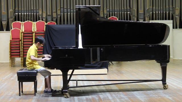 Р Шуман. Басня из "Фантастических пьес" ор.12. смотреть онлайн