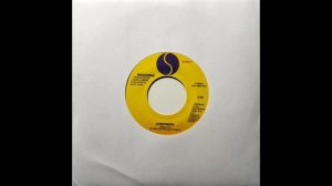 Madonna - Everybody (Edit)