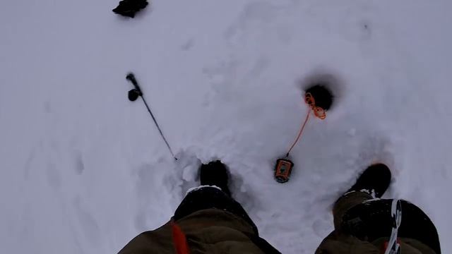 Попали на утренний выход Судака.Нашли Леща и началось.Рыбалка на Каме на Вибы смотреть онлайн