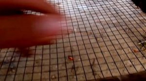 Клетка для кроликов, и двухъярусная из уголков