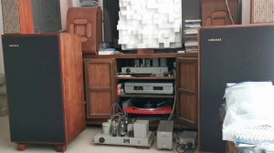 蔡琴。Lowther Acousta 115