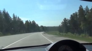 С Днём водителя!