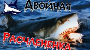 Правильный гребок в плавании кролем. Упражнение Двойная расчлененка
