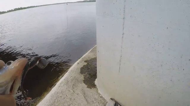 ЛОВЛЯ СУДАКА И ЩУКИ С ЛОДКИ 3.07.2022. В САРАТОВЕ. смотреть онлайн