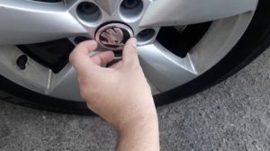 Шкода Рапид. Заглушки из Китая на литые диски