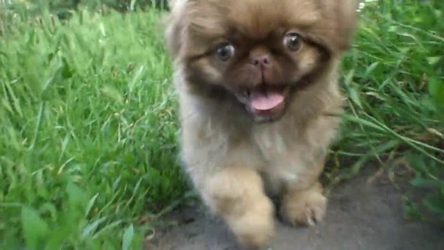 В движении смотреть онлайн