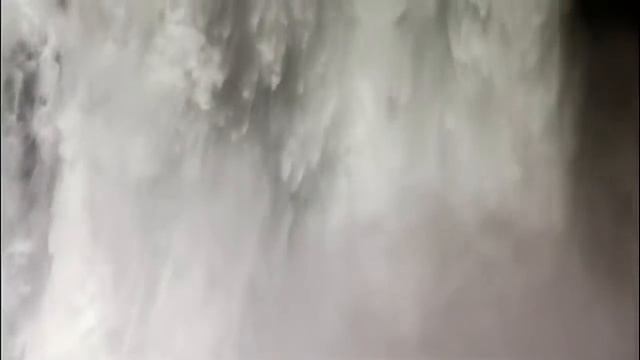 ГАРМОНИЯ ВОДЫ И РАСТЕНИЙ смотреть онлайн