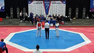 Чемпионат России по тхэквондо. Женщины.