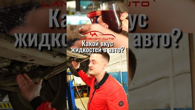 ? Автомобильные жидкости на вкус. Пробуем и делимся впечатлениями в комментариях. #lanskoyauto#юмор