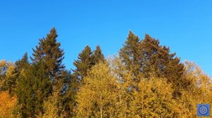 Медитация. Энергия Голубого Луча | Путешествие в Храм Воли Бога | 42 минуты