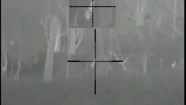 Охота на кенгуру Тепловизор для охоты Pulsar Apex XD75 смотреть онлайн