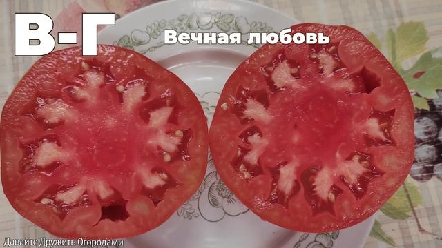 Томаты на букву В и Г. ПОЛНЫЙ ОБЗОР. ОТ А ДО Я