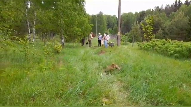 ПОСАДКА ЛЕСОСАДОВ.  Экологическая инициатива ПОСАДИ ДЕРЕВО ! смотреть онлайн