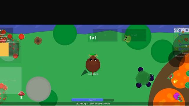 My rares animals. Редкие животные которые мне выпадали-(Roams.io/Berrermope.io)#roams.io #bearman смотреть онлайн