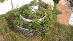 Грядка - Пирамида круглой формы, на даче 5 часть.